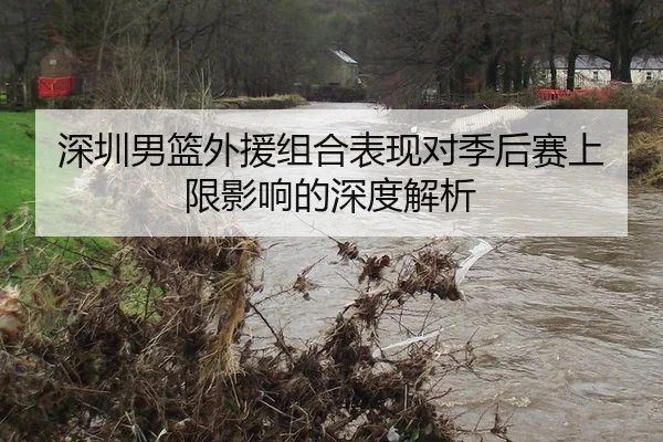 深圳男篮外援组合表现对季后赛上限影响的深度解析